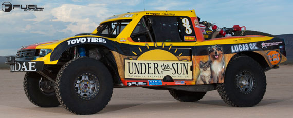 Mint 400 | Fuel Offroad | Cannidae Racing