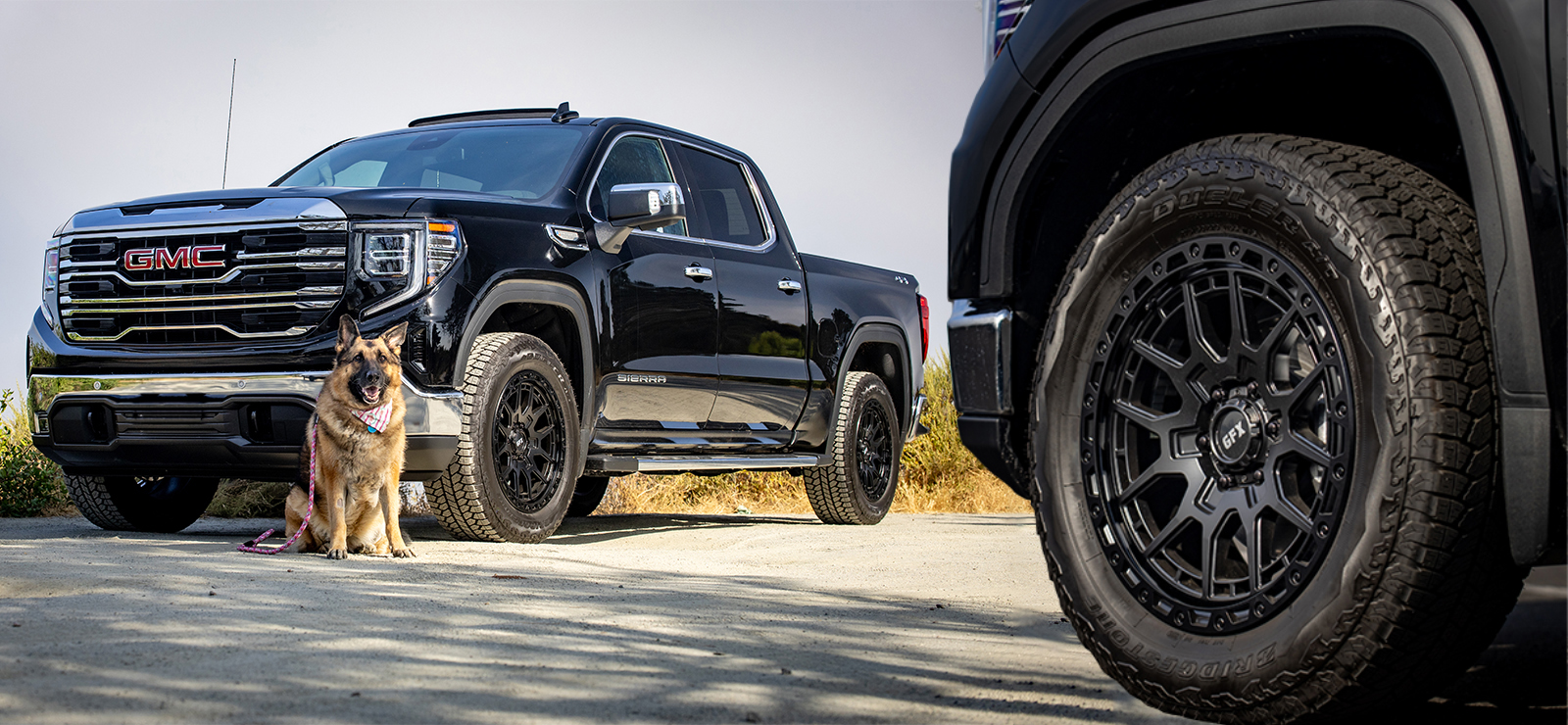 GMC Sierra TR25