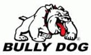 We sell Bully Dog Performance chips for your vehicle