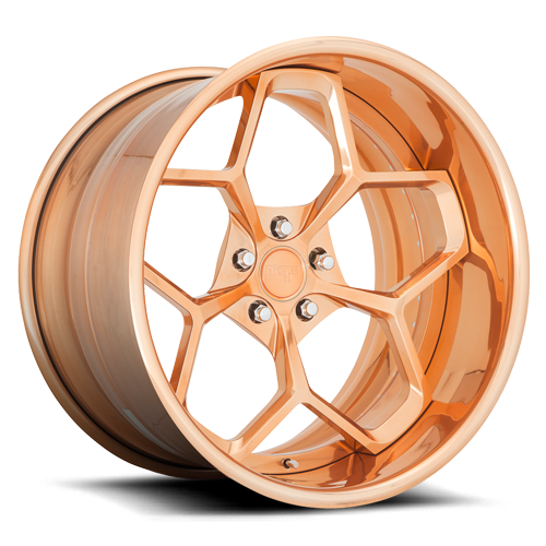 Niche Forged Fortis