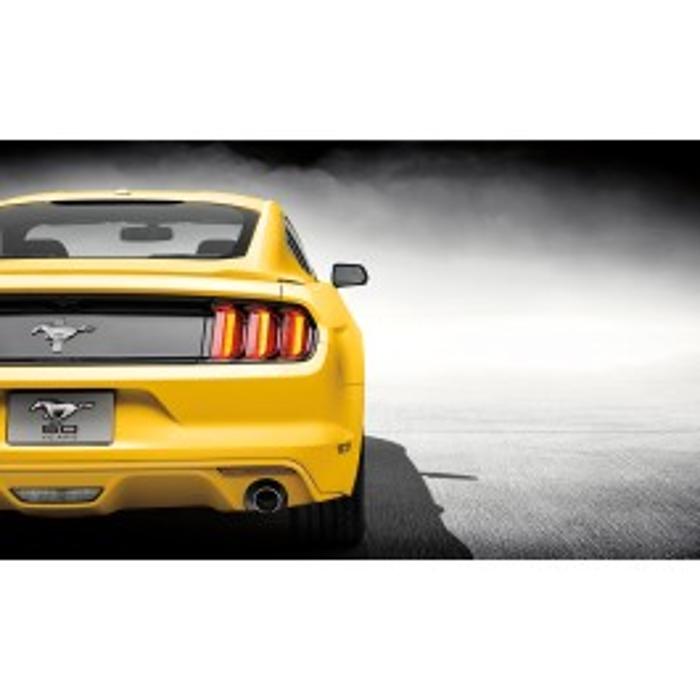 Spoiler - Rear Decklid, Raised Blade Style, Coupe 2015 - 2018	Ford	Mustang	FR3Z-6344210-BC
