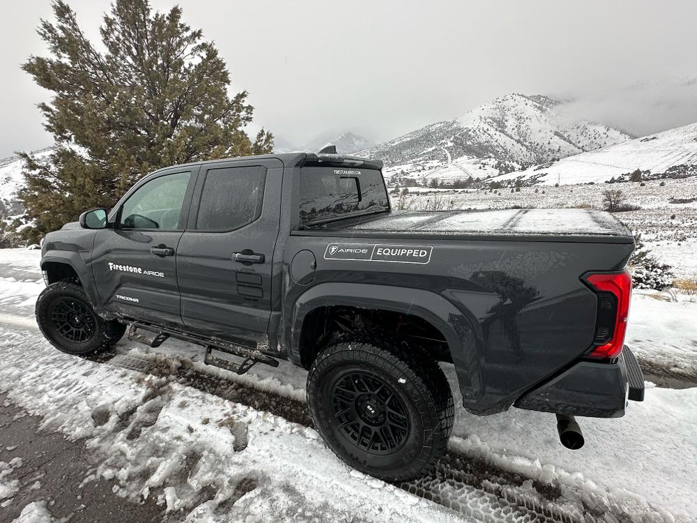 Toyota Tacoma TM8