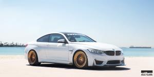 IND-T on BMW M4