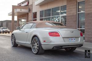 Bentley Continental with 