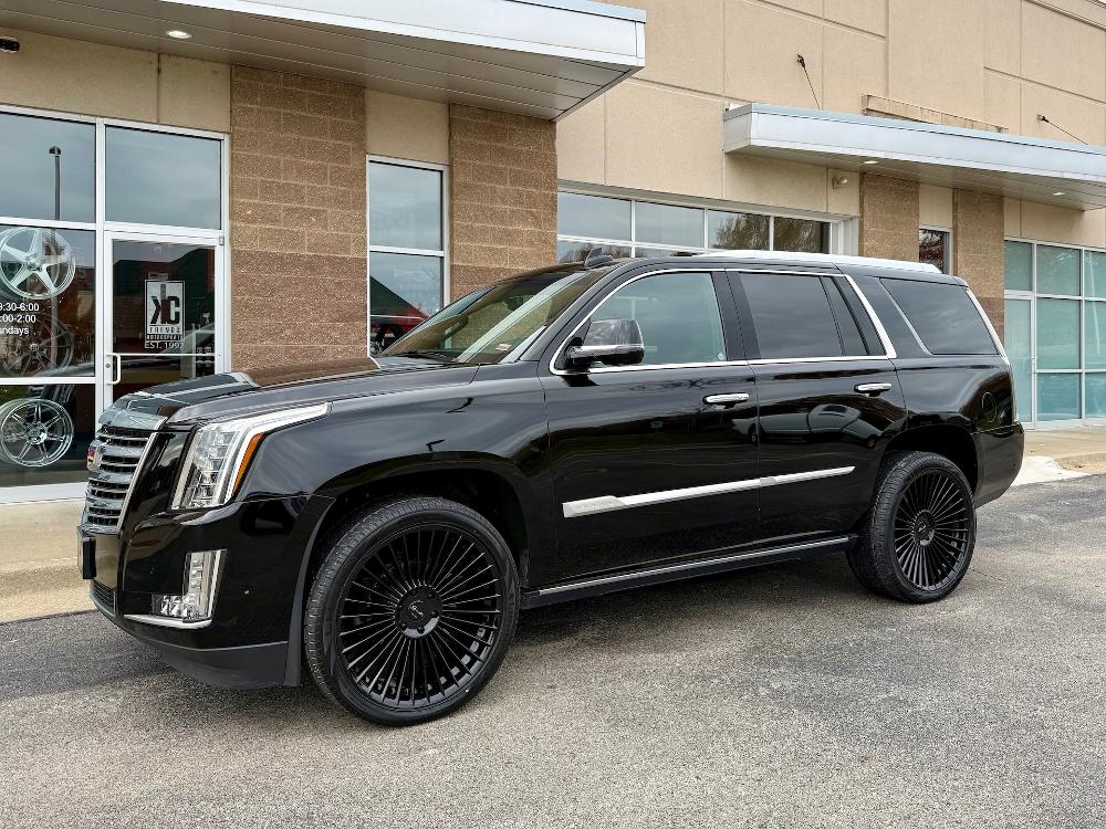 Cadillac Escalade Cabo