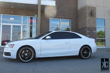 Audi S5 with Mandrus Simplex