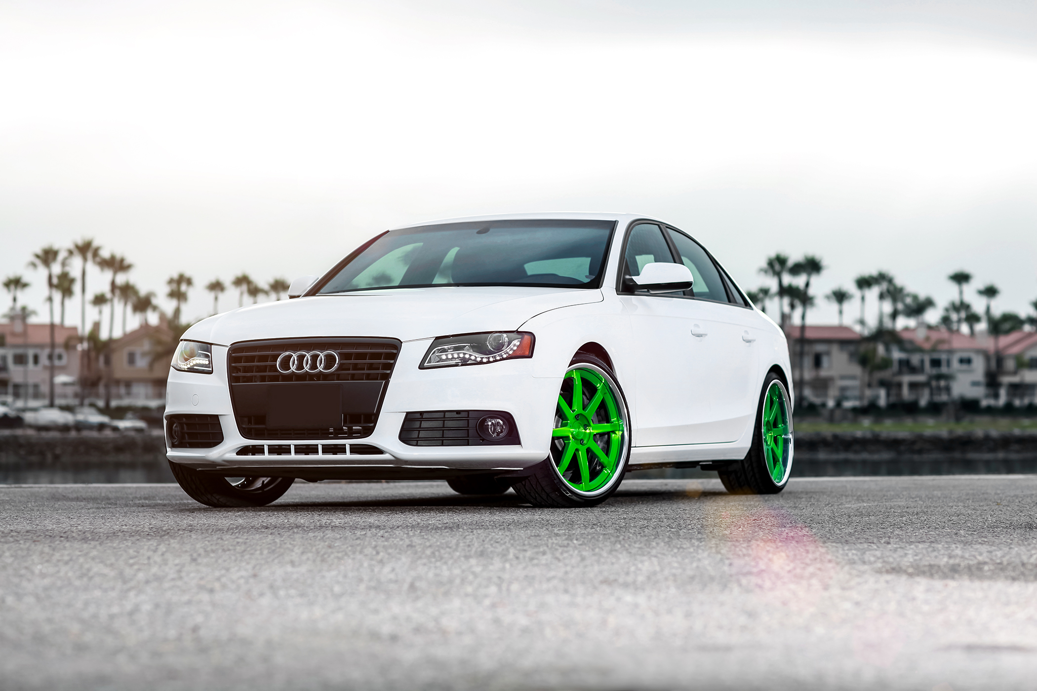 Car | Audi S4 on Niche Forged Vector Wheels | California Wheels