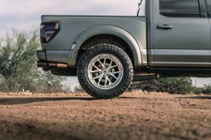 Ford Raptor R Thumbnail