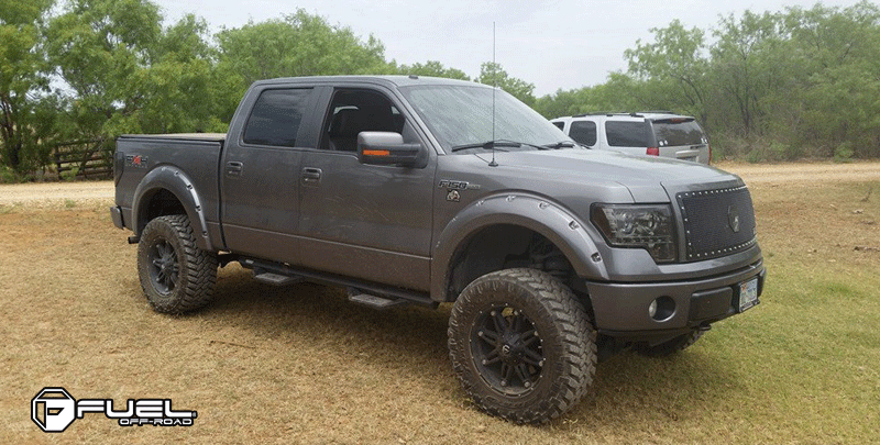 Ford F-150 Hostage - D531 