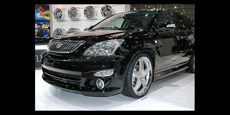 Lexus RX VSK