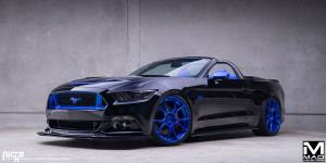 Ascari on Ford Mustang