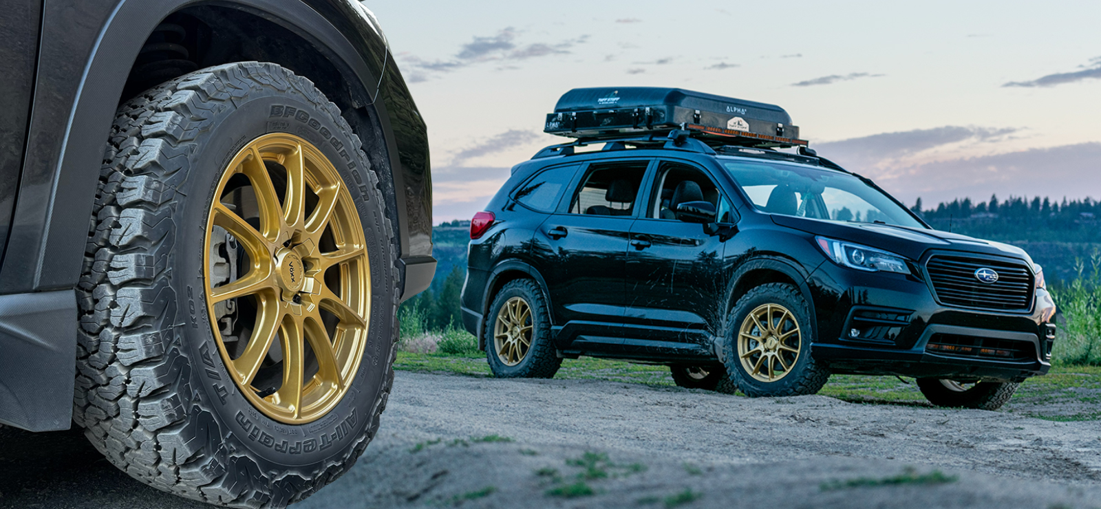 Subie Cotto