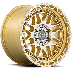Holcomb Gold Mirror Machined Face 6 lug