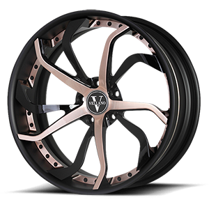 VCY Concave 5 Champagne Gold & Gloss Black / Matte Black